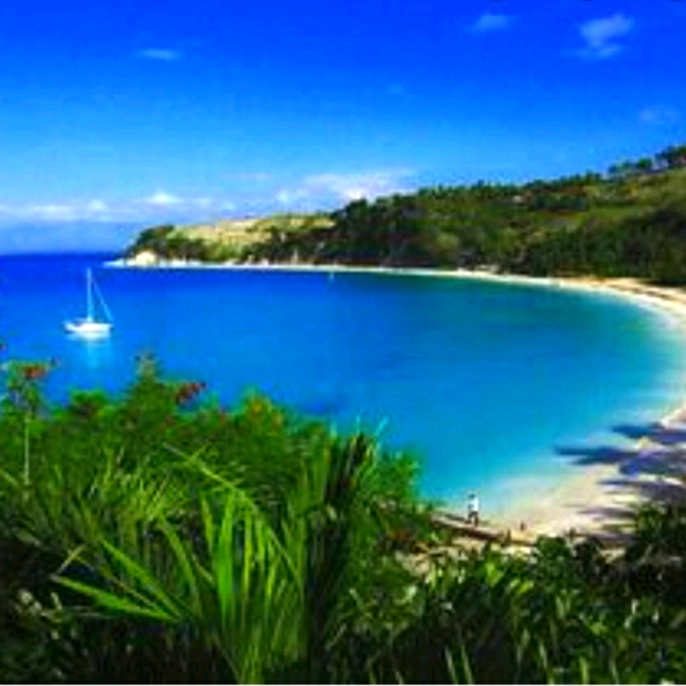 Meet your Posher, Paul